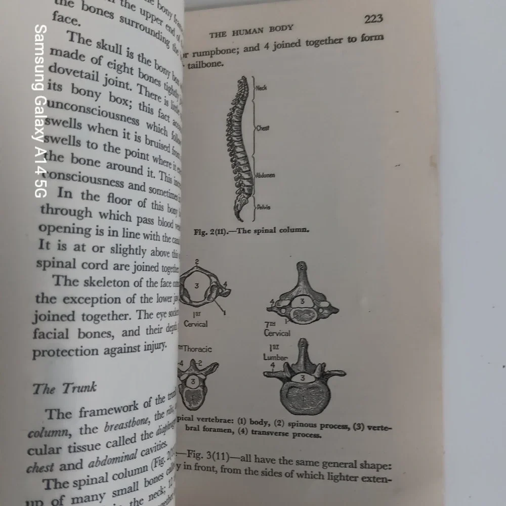 AMERICAN RED CROSS First Aid Textbook Revised BLAKISTON 264 Illustrations 1945